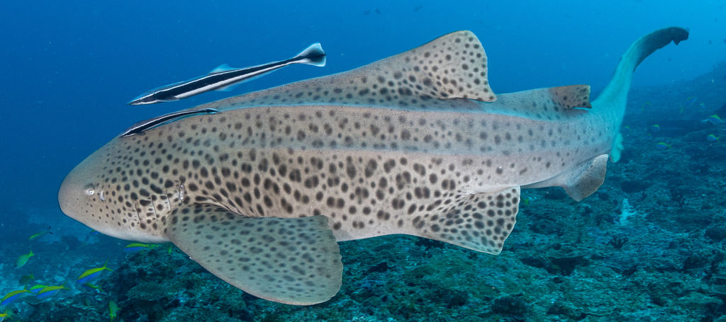 46f66e85-4ad7-4868-8658-d98ba2b02199