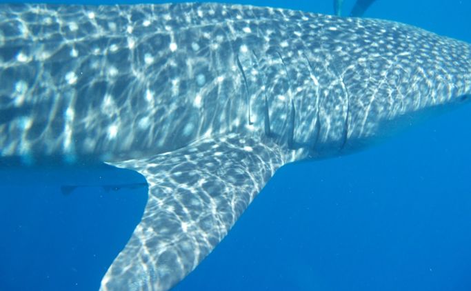 0b981b00-cd7b-4ab4-b996-d633e505499e