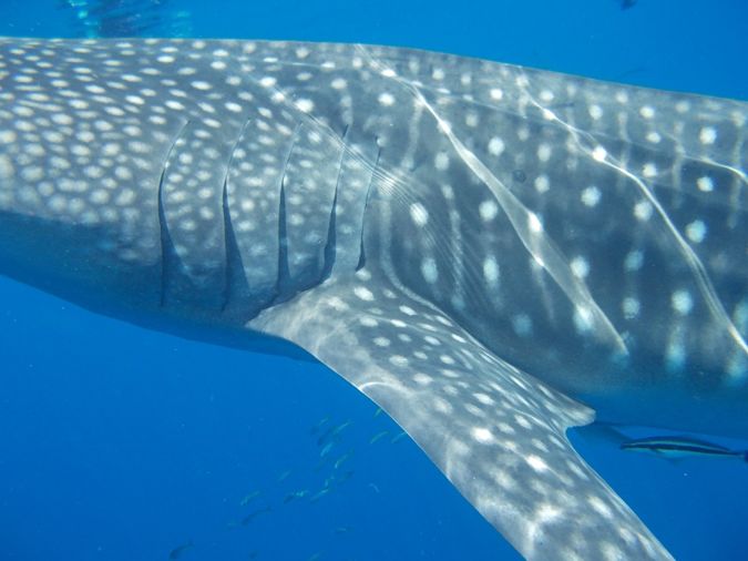 0b981b00-cd7b-4ab4-b996-d633e505499e