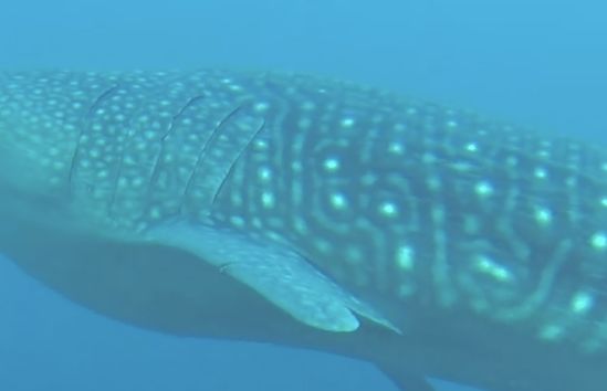 5b148832-8024-44c5-b1e4-a368865954b8