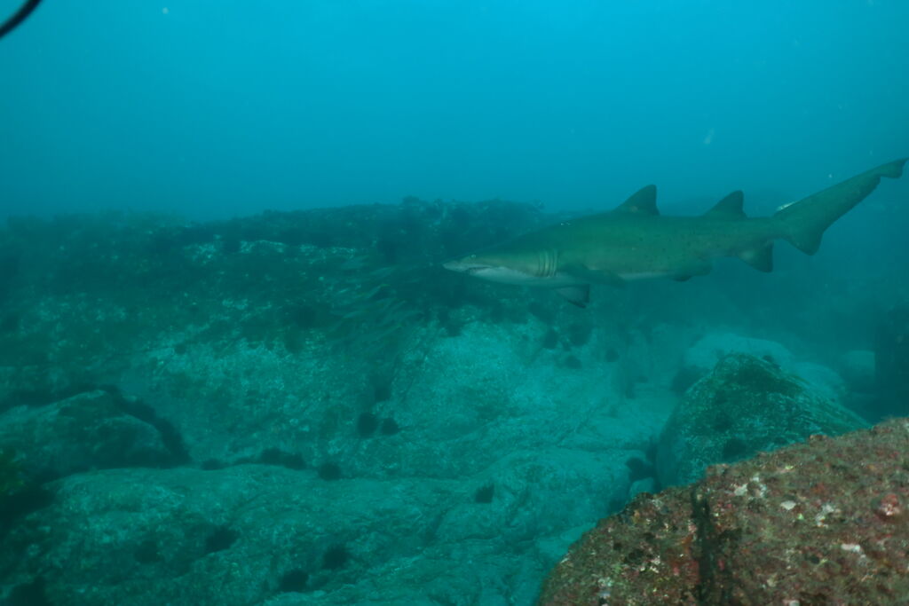 e8f4af52-bf07-42ae-b249-9ba05c0d6b36