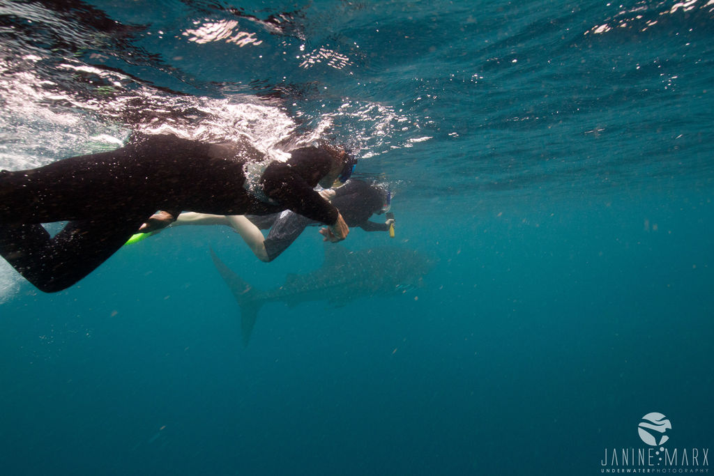 7f7ed114-9214-437f-9a00-7a425c4c25d0