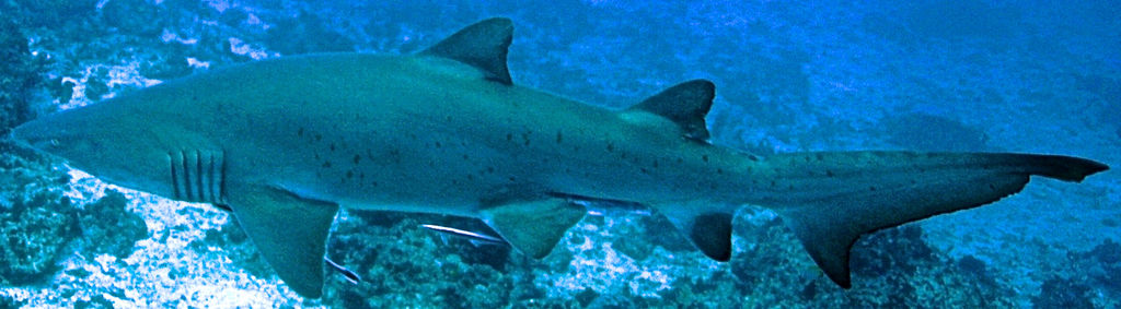 2edc8732-09fb-4470-a7ba-be4eeda0ec5c