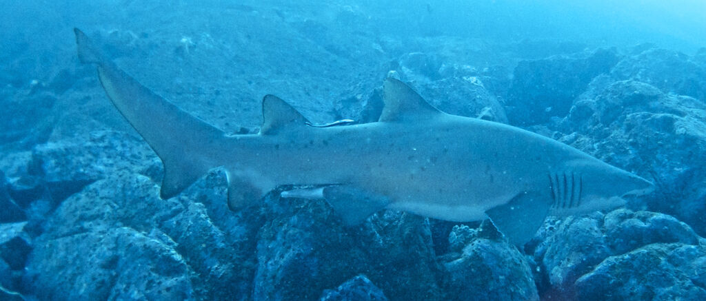 1ba0ab4b-0dd1-4e17-a0b8-22ca40f49d90