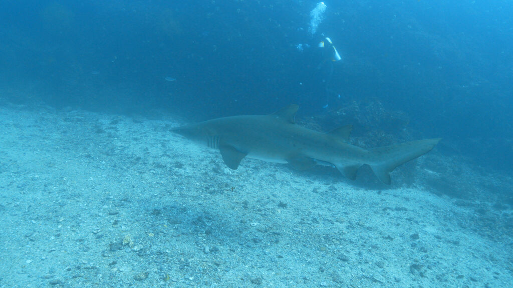 e34ec4b4-721e-4133-b861-aac00e9d2c14