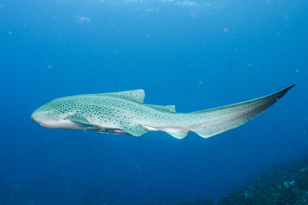 a62a67d3-73d8-4fe4-b3d5-90bed4a8756f