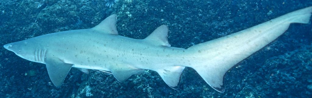 0b87cacf-f32c-4b3e-af9d-0ed0762c5e28