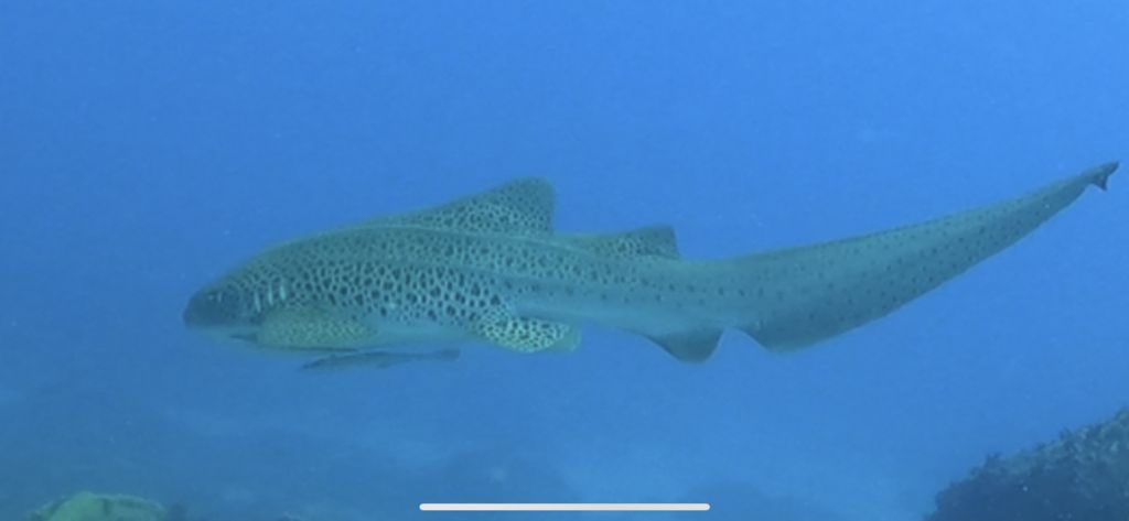 fc3334fe-ebaa-4db1-bf5b-467764eec63d