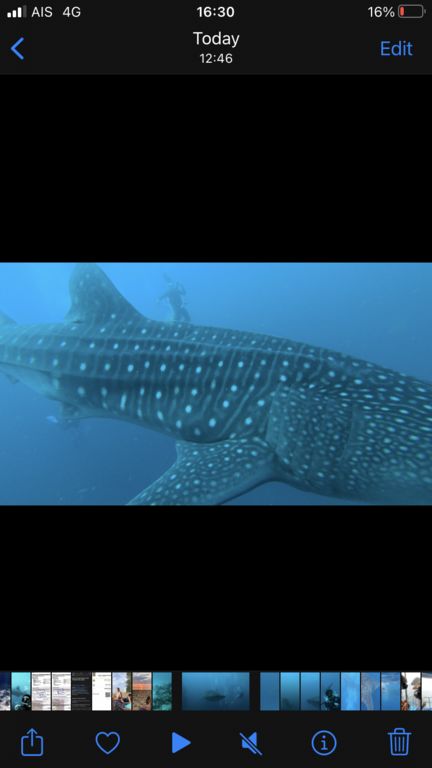 74808e6a-9b0e-48ad-889d-16bbdb831fab