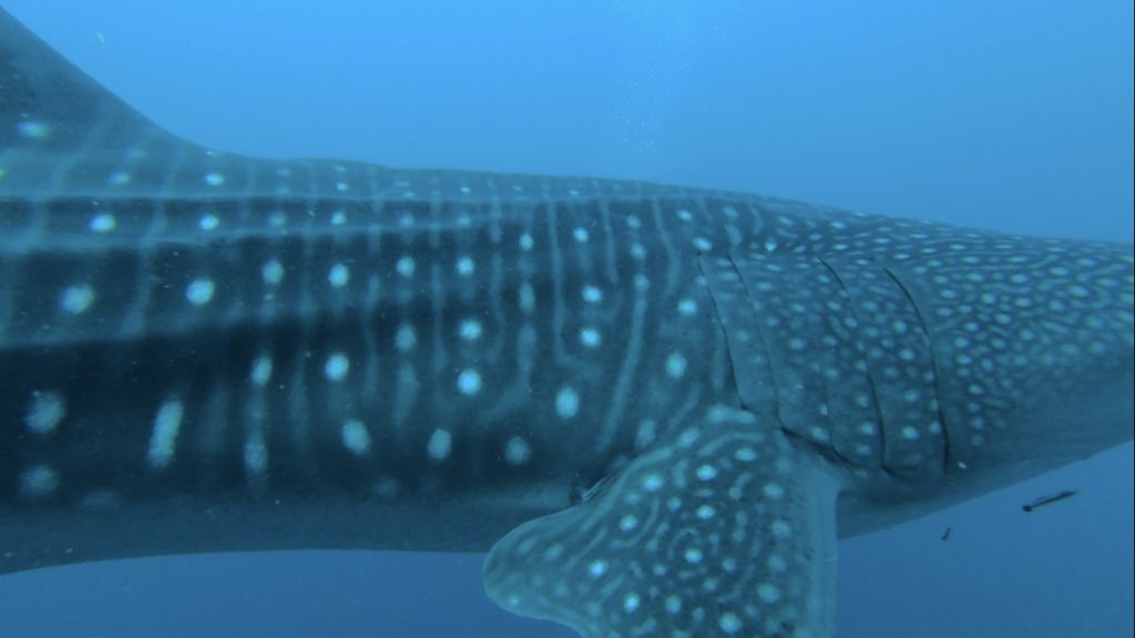 74808e6a-9b0e-48ad-889d-16bbdb831fab