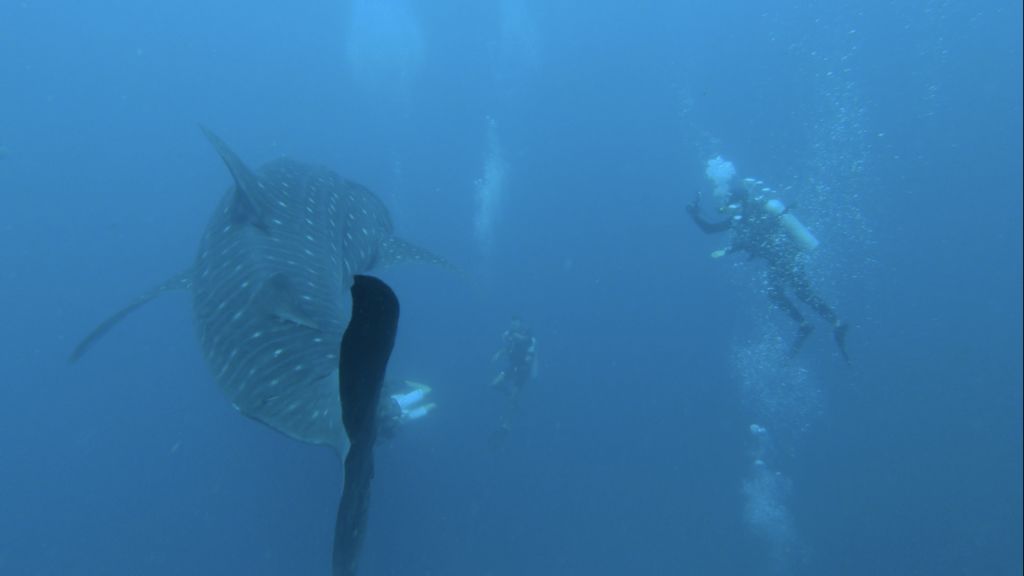 74808e6a-9b0e-48ad-889d-16bbdb831fab