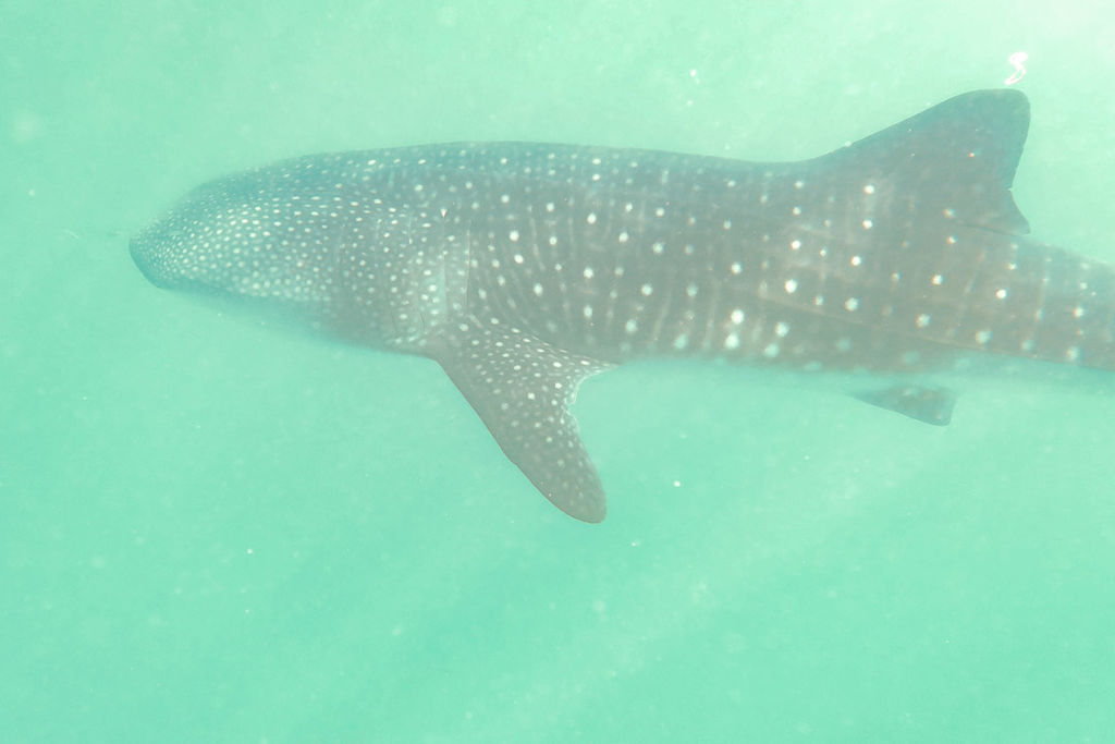 09f9f166-d87c-4590-a542-c187c05eeeac