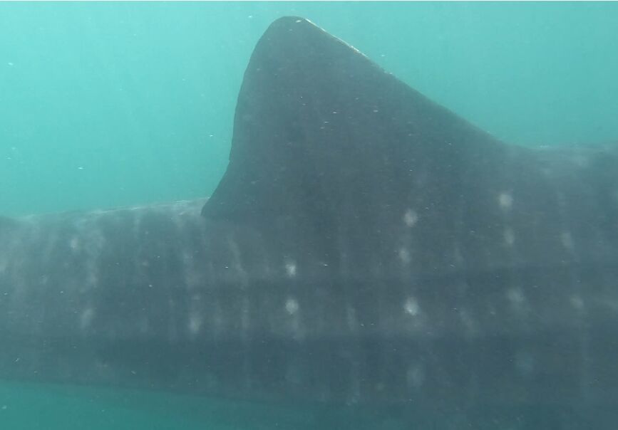 9769e8ec-b27a-4232-bb40-1020f282ce73