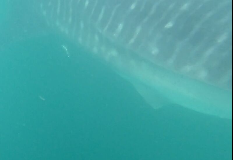 9769e8ec-b27a-4232-bb40-1020f282ce73