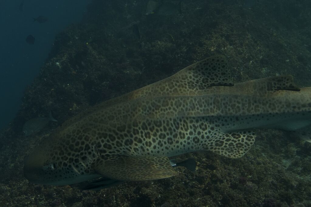 3ece43f8-70df-4fbc-a889-56bbe78cbbf7