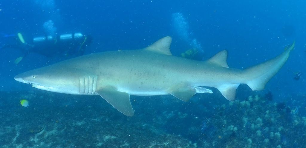 e22881a2-2a26-4afb-9de2-a6c686efc158