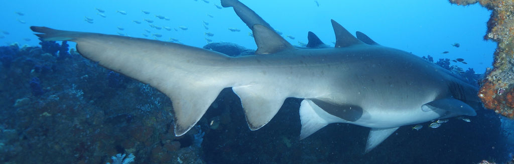 1703228b-2ae2-406b-88b6-75ed13fc9b2b