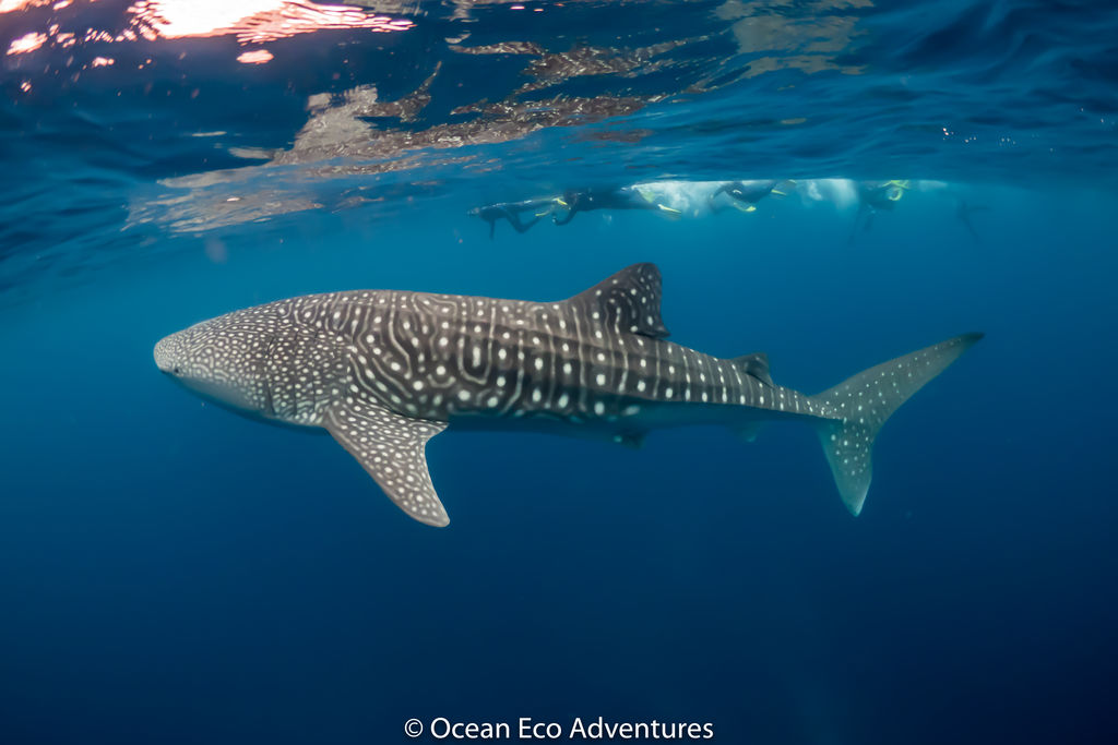 7c6750df-23f4-4757-8f27-54da4e4860a4