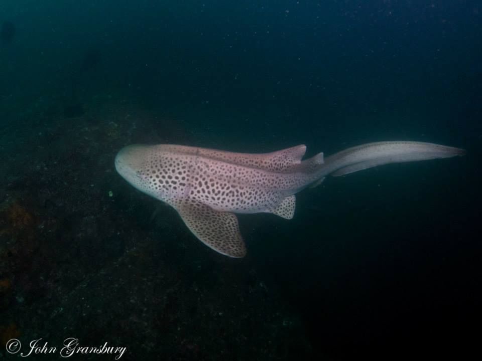 f0c00587-d5b7-4a68-93ba-bb6201ede3cf