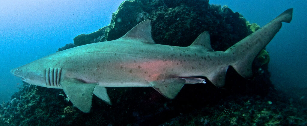 27a989b4-a209-4ff2-86f4-ee6f376c7763