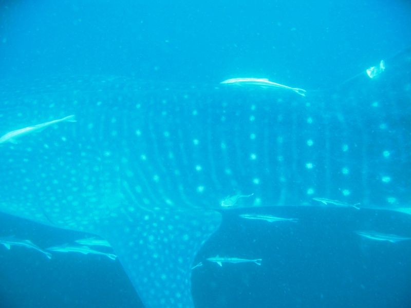 ee588712-95d2-4fb6-a4be-2b4900abde3c