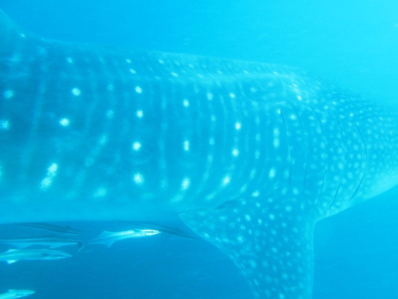 ee588712-95d2-4fb6-a4be-2b4900abde3c