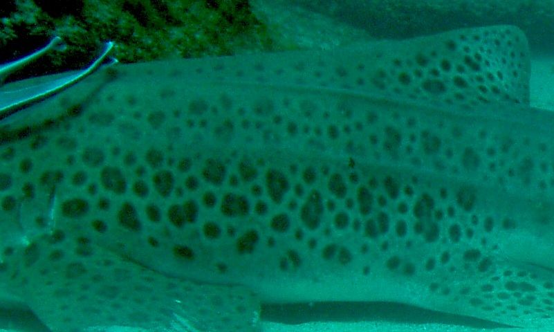 53ba0ee2-10b9-4c61-9e93-040332b31b1f