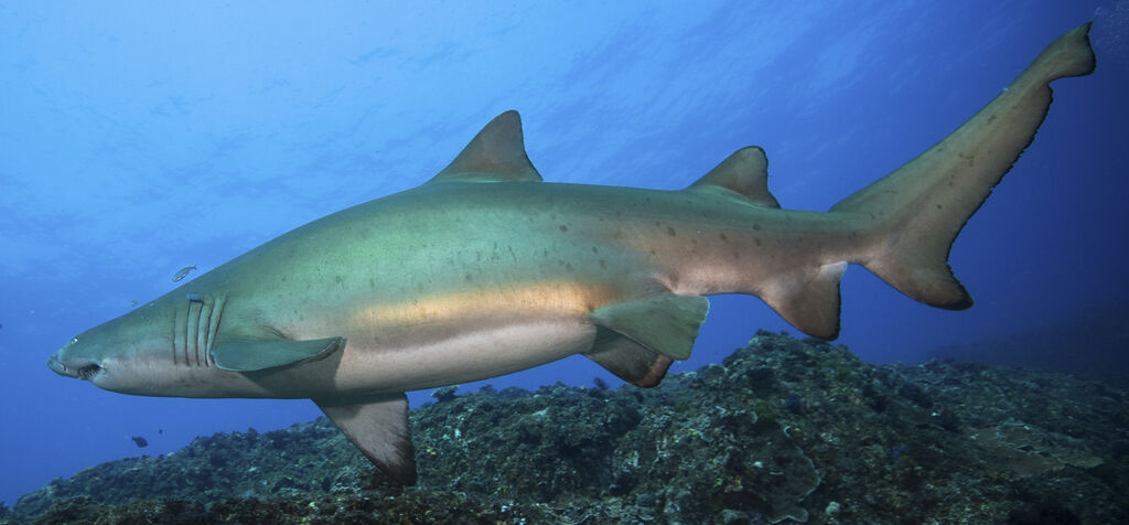 76dcc124-f572-40a1-ac31-456eb911d9f1