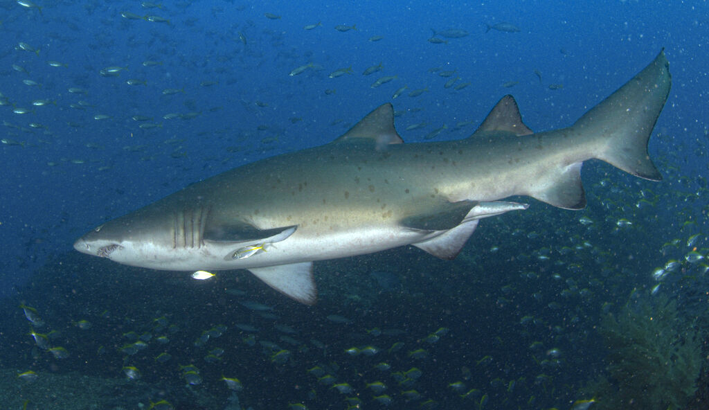 361656bd-69bf-44c5-bd4d-2a5a57c5529c