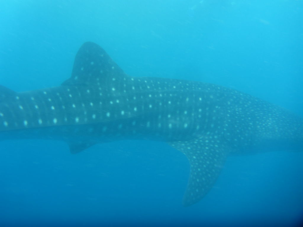 dabdbdda-1f5d-42a4-88e6-5af654cef672