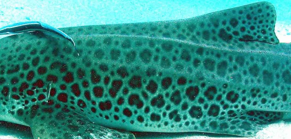 52b4624f-6769-4cd1-b8d3-09f71e94f7c5