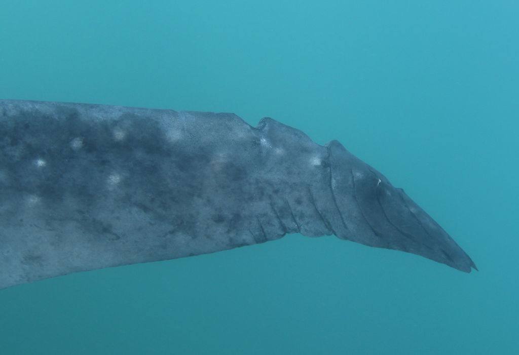 3e64cc2f-6817-46ac-a975-2a629ba3f89c