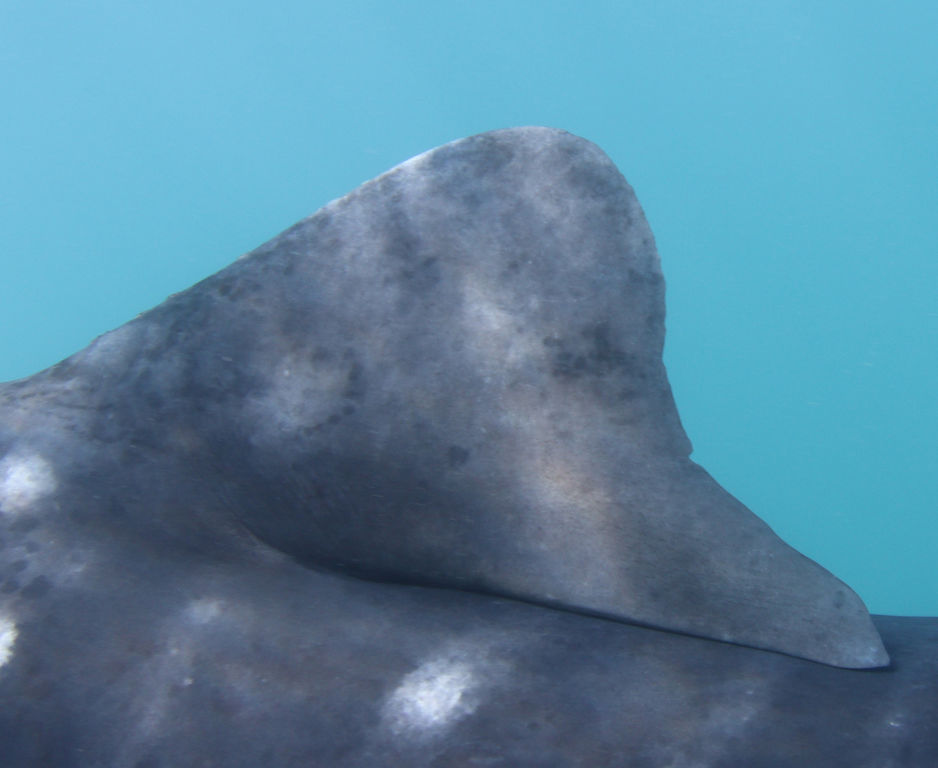 3e64cc2f-6817-46ac-a975-2a629ba3f89c