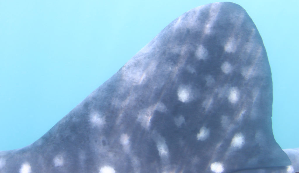 3e64cc2f-6817-46ac-a975-2a629ba3f89c