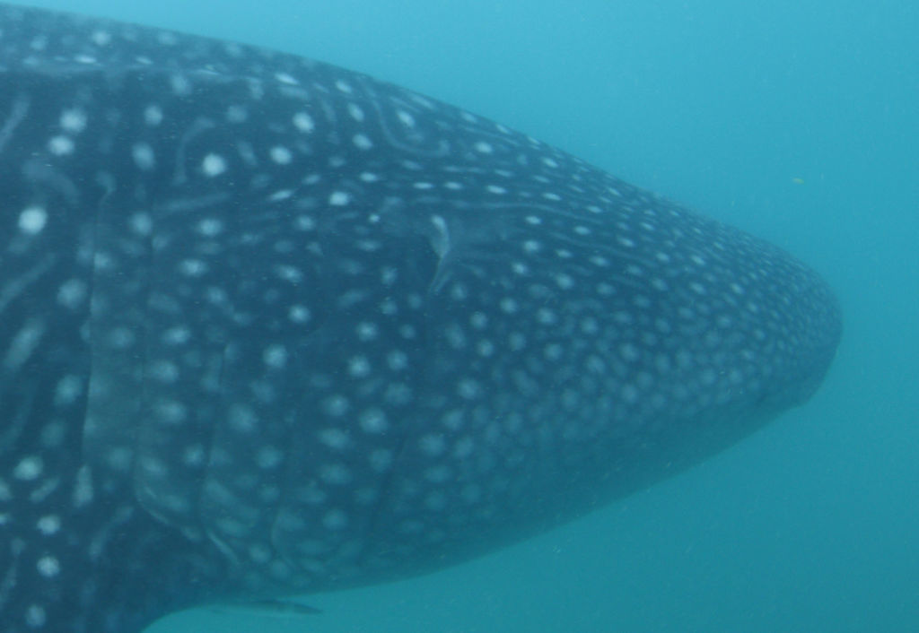 3e64cc2f-6817-46ac-a975-2a629ba3f89c