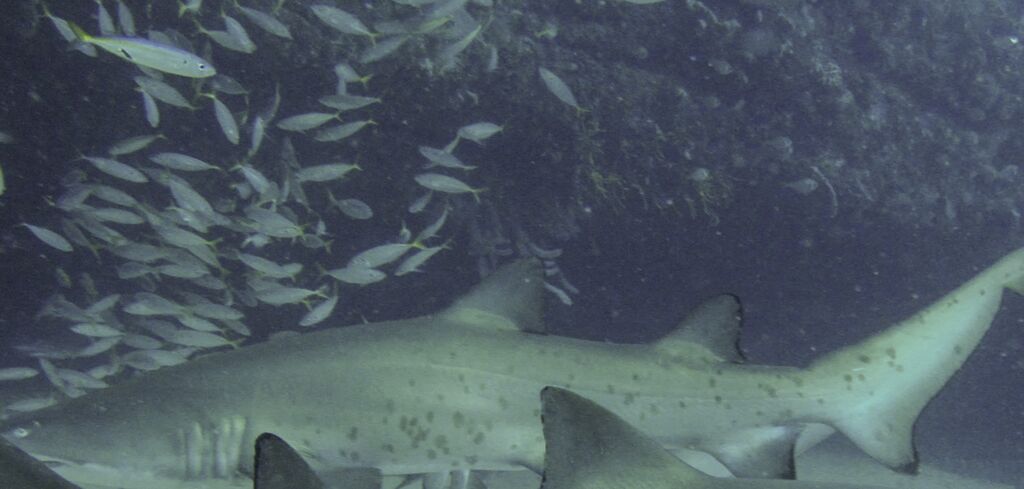 1c859d3f-932c-4762-89ed-21f255b2b916