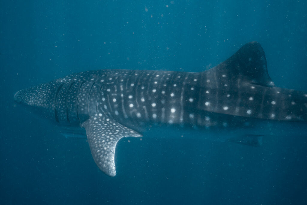 7314a288-46c0-4035-8ce7-d637aa15e80f