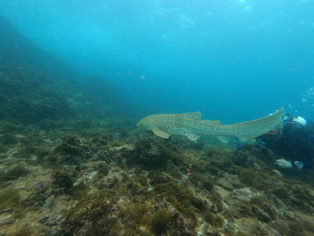 6a84de1c-8055-432d-a090-160b432b54a8