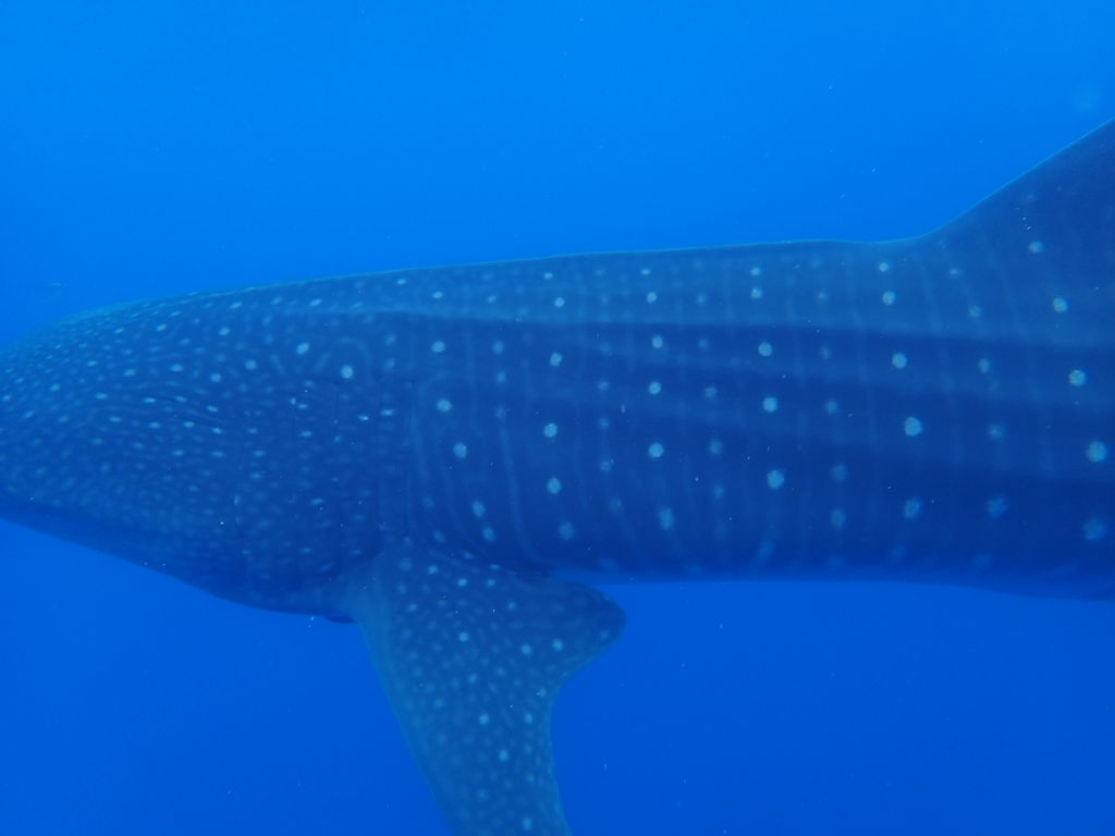 37499efd-8e64-46bd-9d1e-890d70f499e9