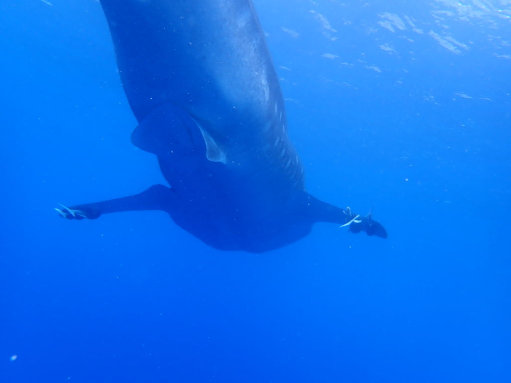 37499efd-8e64-46bd-9d1e-890d70f499e9