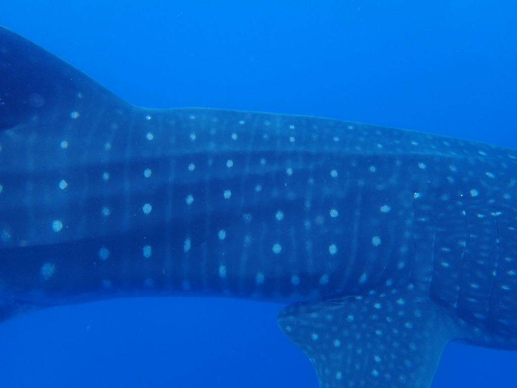 37499efd-8e64-46bd-9d1e-890d70f499e9