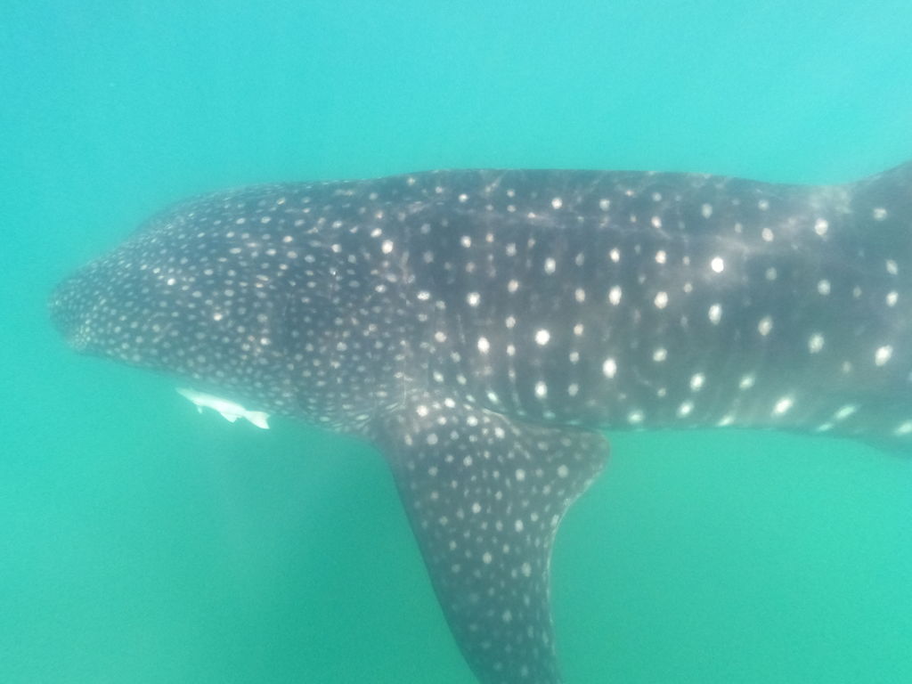 bf6a3db2-6c50-4455-8ccf-8662d3fcfbc3