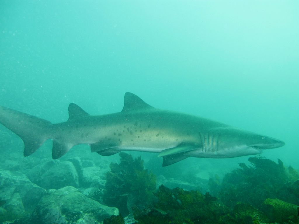 33aa0708-203e-40a0-9293-91a812ff8465