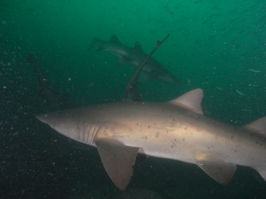 021664c0-fd37-4794-8d2f-315984406fd8