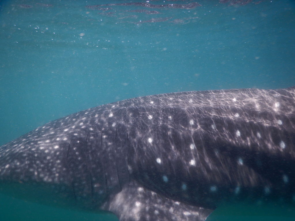 ccffee84-8476-4531-a945-a05bb4d8bf98