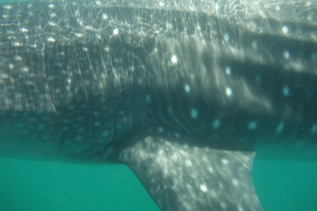 ccffee84-8476-4531-a945-a05bb4d8bf98