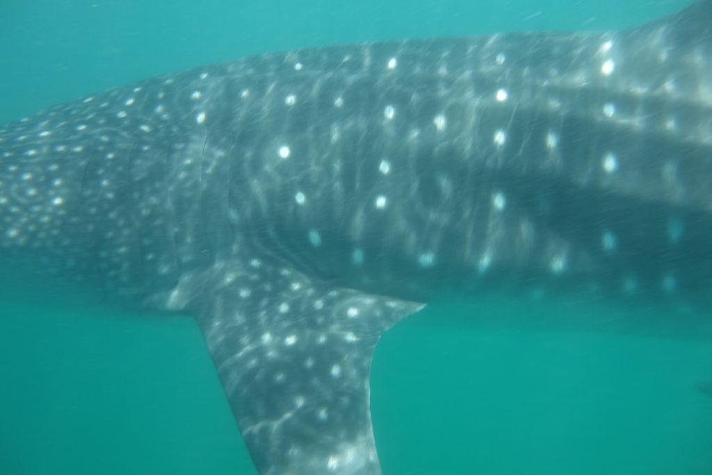 ccffee84-8476-4531-a945-a05bb4d8bf98