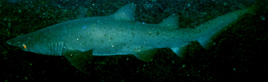 63aa5359-f689-48e1-8f98-35074a2dccdc