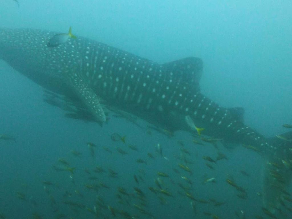 c875edce-6d87-4c32-84cb-c25152a7f20e