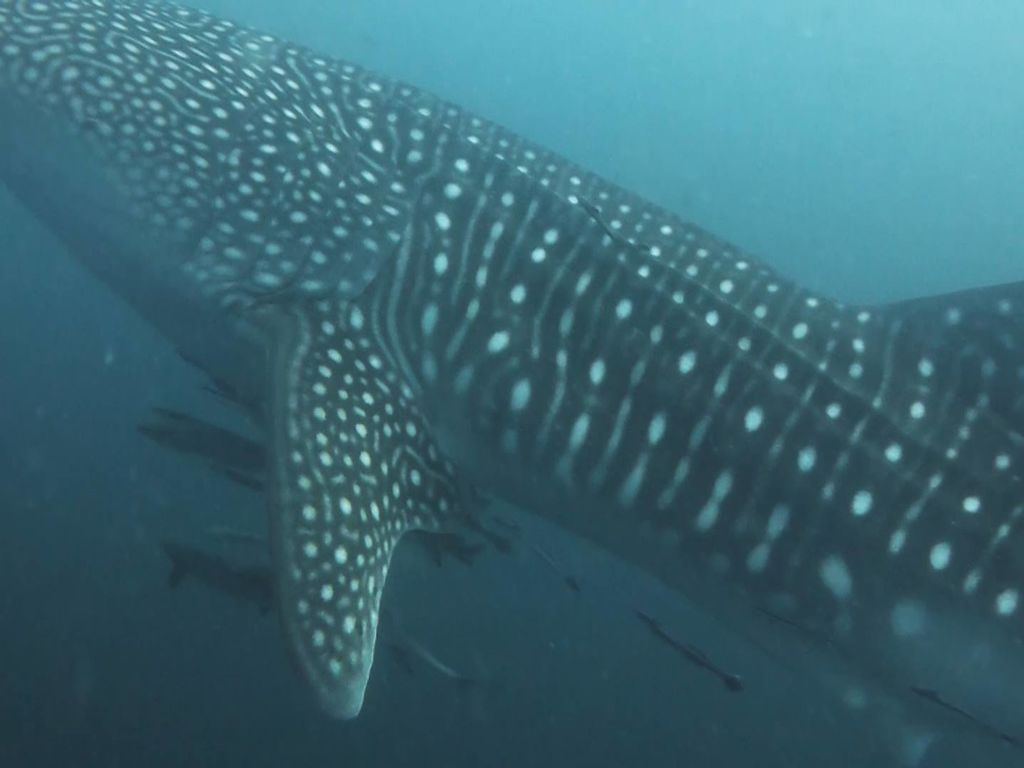 c875edce-6d87-4c32-84cb-c25152a7f20e